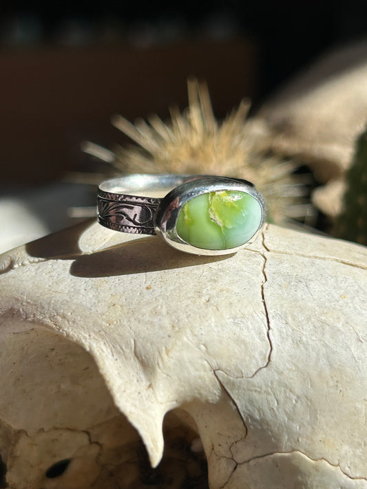 Palomino Turquoise Size 6 Engraved Band Ring