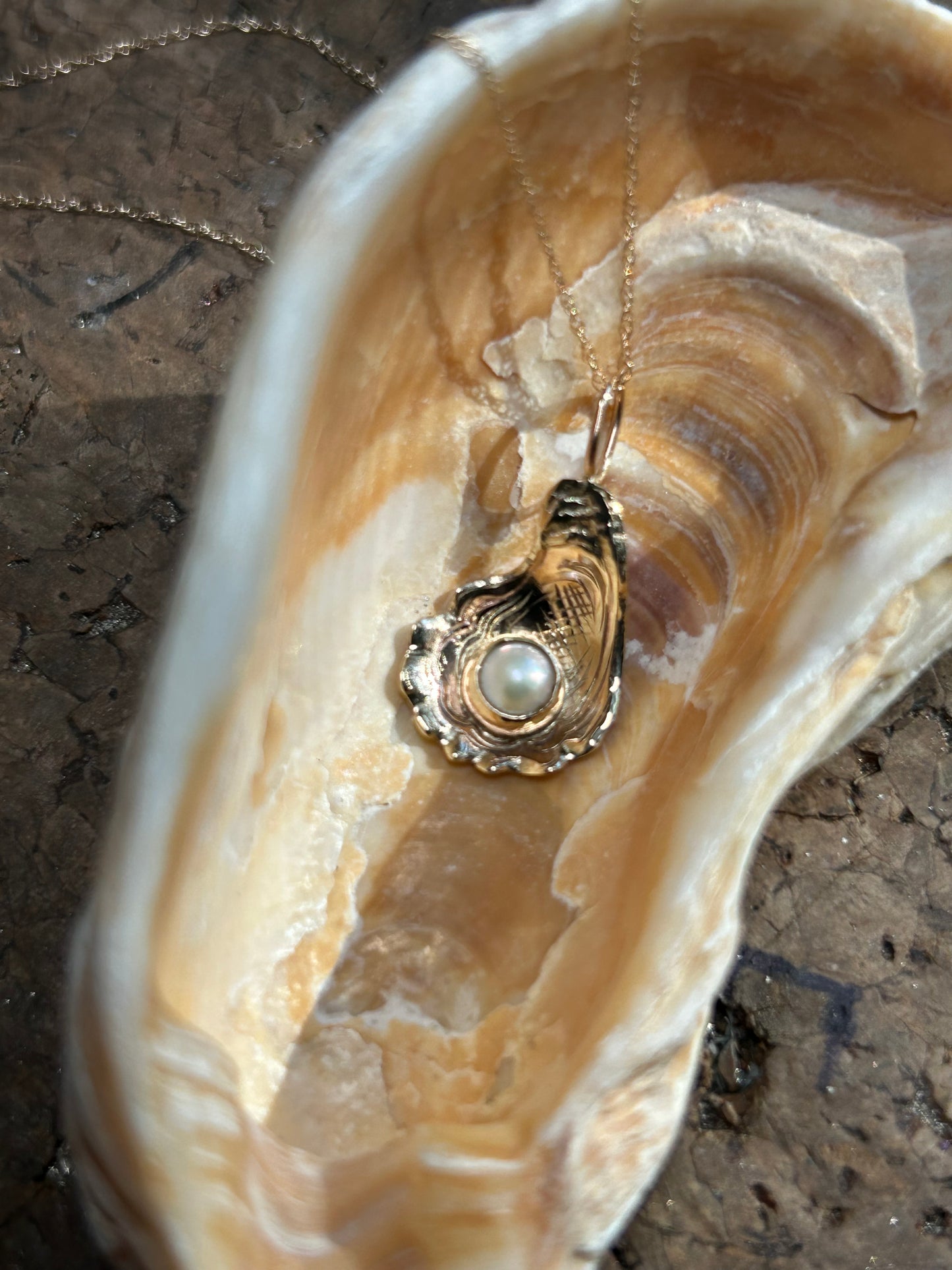 14k Gold Engraved Oyster Necklace with Freshwater Pearl