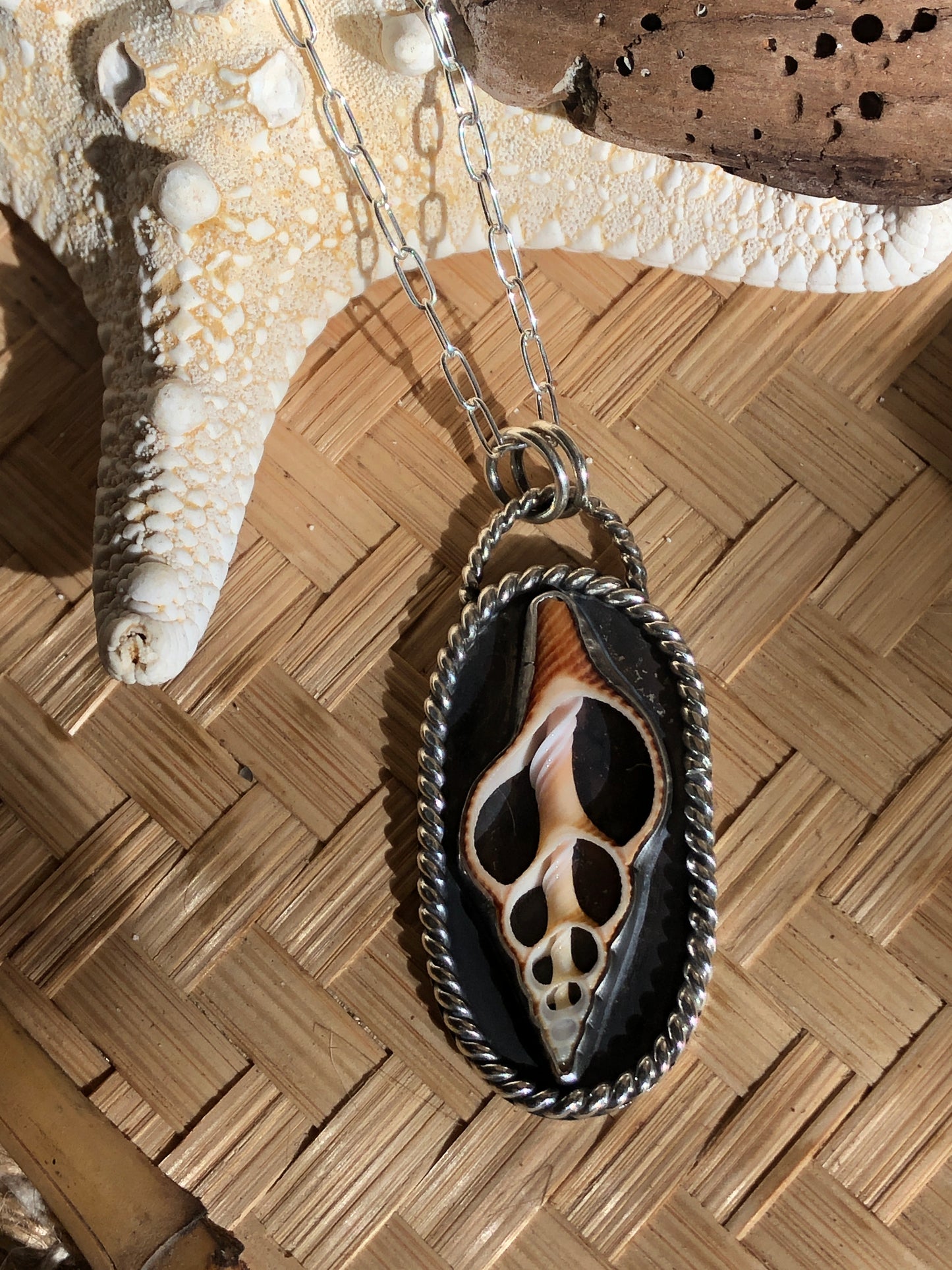 Spindel Shell Slice Pendant with Chain