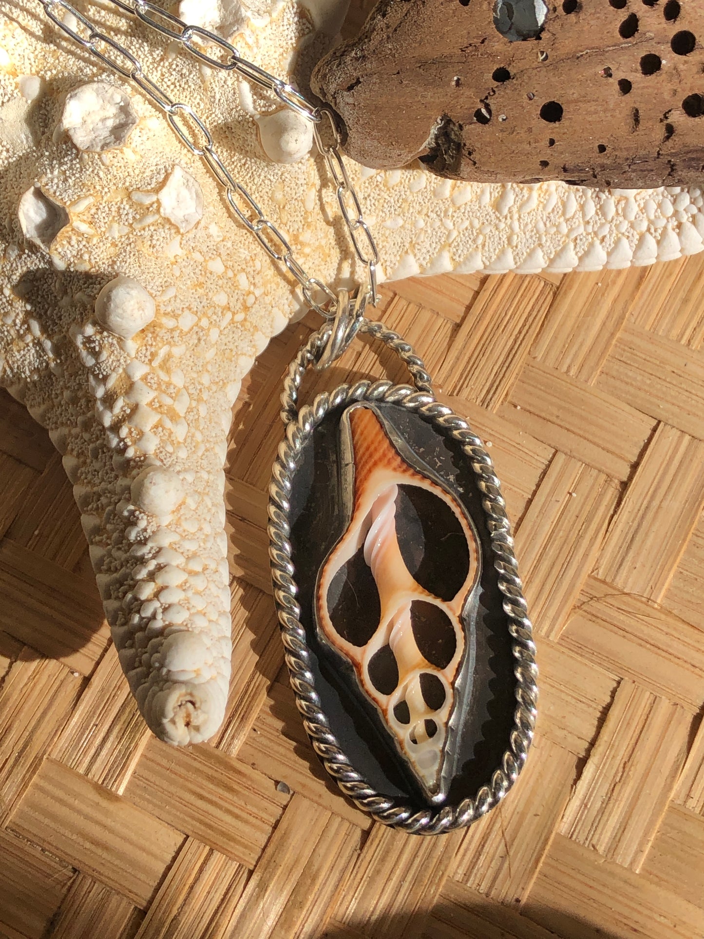 Spindel Shell Slice Pendant with Chain