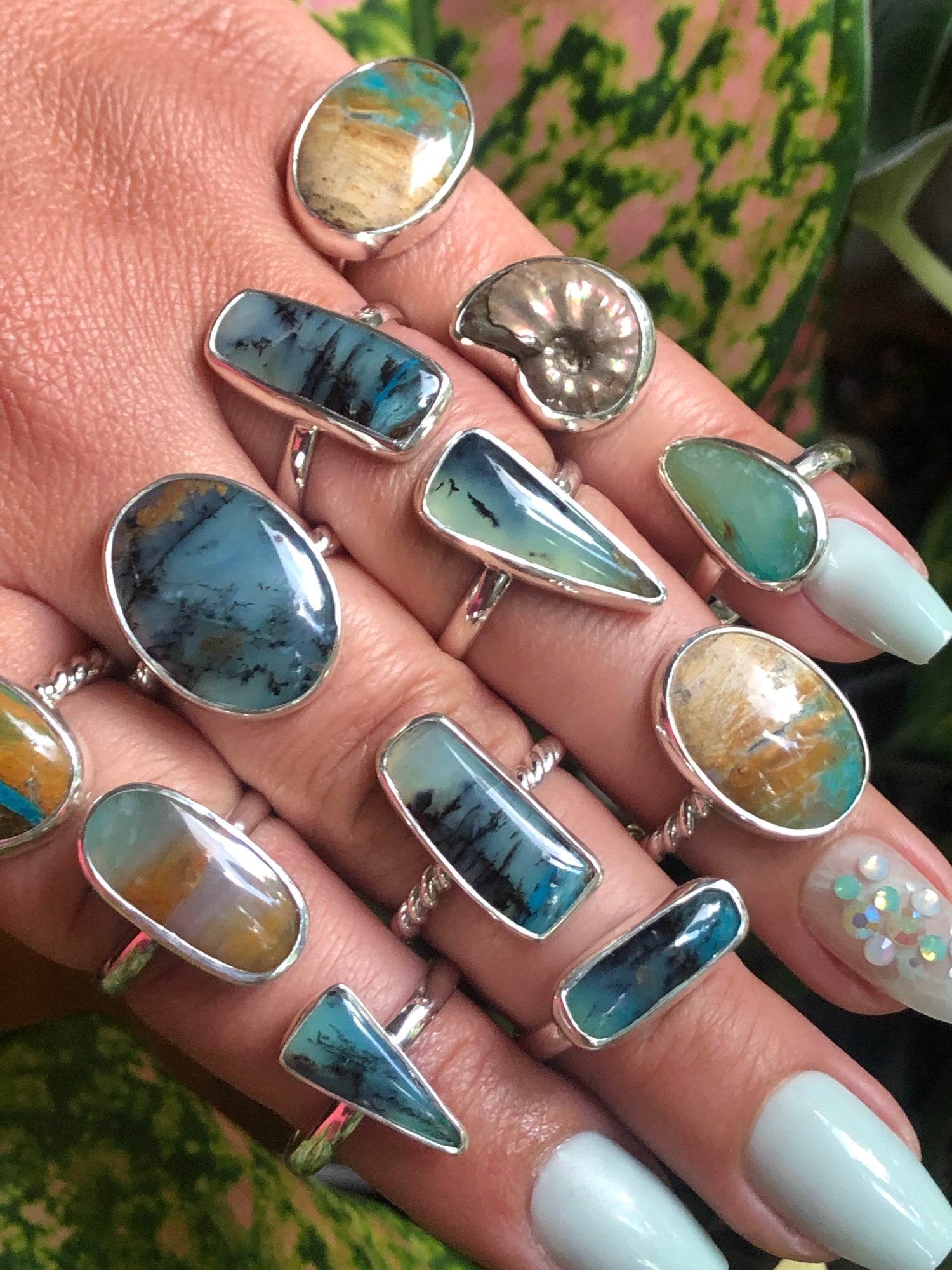 The Water Collection