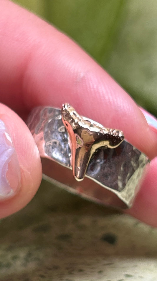 Hammered Wide Band with 10k Gold Shark Tooth size 10